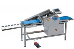 Smoked fish SLICER TRSA40